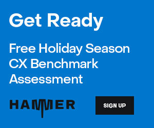 Hammer Get Ready Holiday Season Assessment box