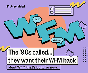 Assembled 90s WFM Back Box