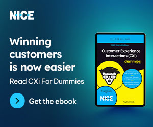 NICE CXI for Dummies Box