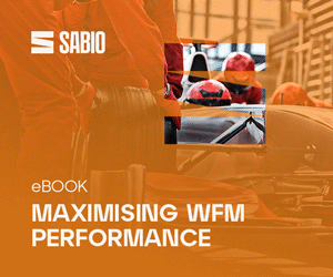 Sabio Maximising WFM eBook box