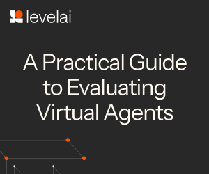 Level AI Evaluating Virtual Agents eBook V1 Box
