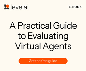 Level AI Evaluating Virtual Agents eBook V1 Box
