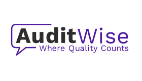AuditWise Logo