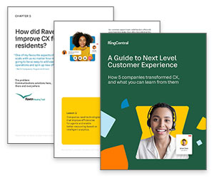 White Paper: A Guide to Next Level Customer Experience Thumbnail