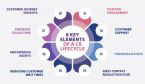 Thumbnail The Key Elements of a CX Lifecycle and Ways to Improve It