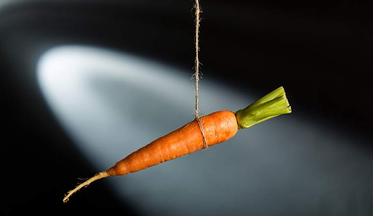 carrot on string