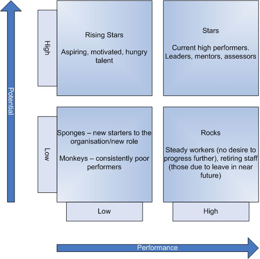 Figure 3: Categories of Employee Potential & Performance