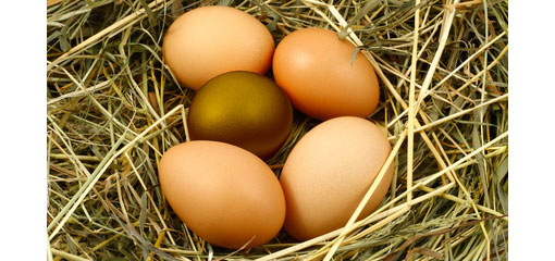 golden egg among a nest of eggs