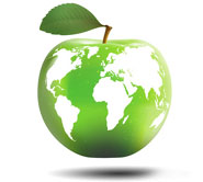 green apple with world map on it