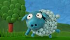 blue tac sheep