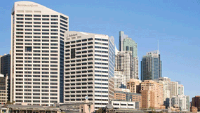 Sydney-office-285 Sydney-office