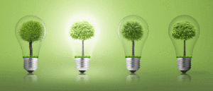 green-lightbulbs