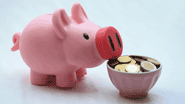 money-pig