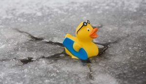 rubber duck in ice