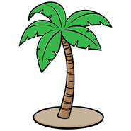 palm-tree-185