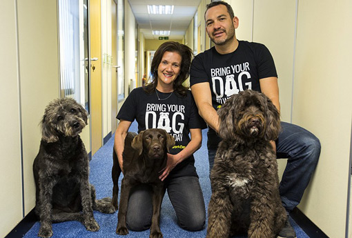 Some contact centres have a designated "Bring Your Dog to Work Day"