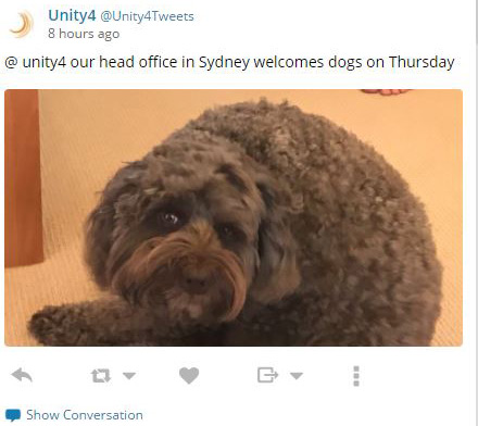 More and more offices are bringing in dogs!