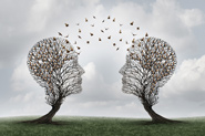 Two heads made out of trees representing customer service