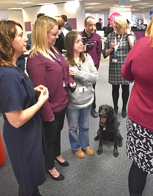 Here's a dog inside the contact centre 