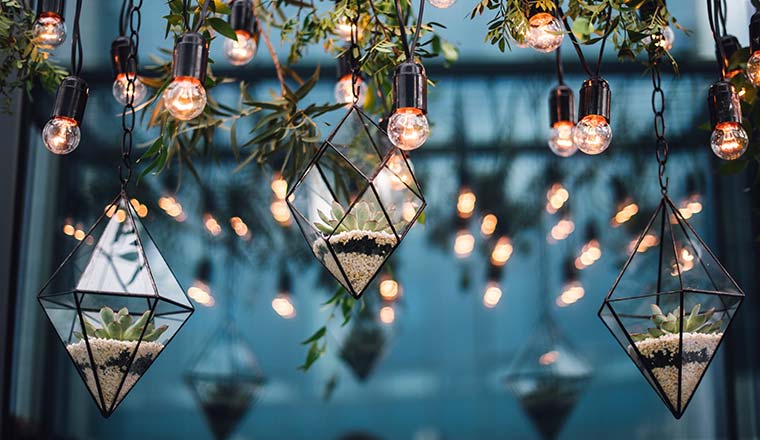 Florariums with flowers and stones hang among the Edison blubls lamps from the ceiling