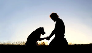 A picture of a silhouette of man shaking hands with his dog