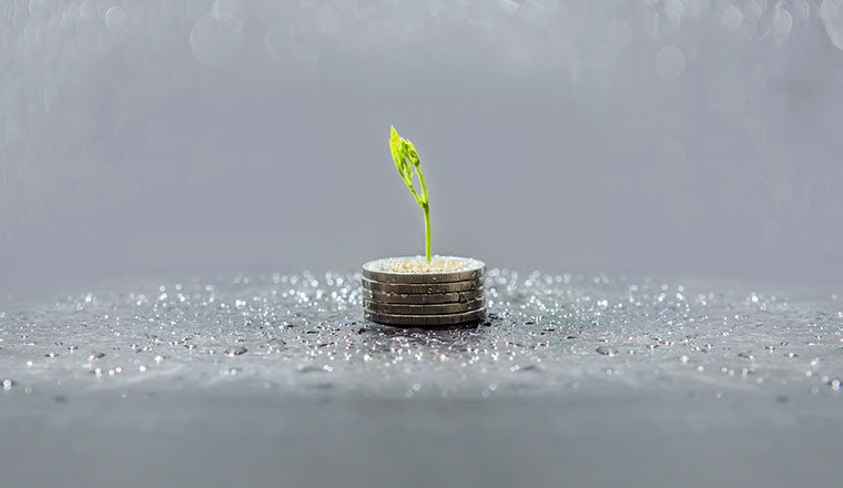 A photo of a plant growing within a pile of coins