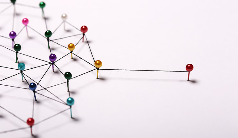Network