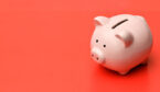 pink piggy bank on a red background