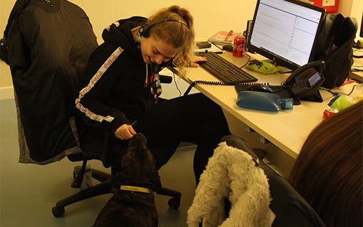 A photo of a call centre agent playing with a dog