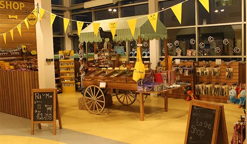 A photo of the The Dogs Trust shop