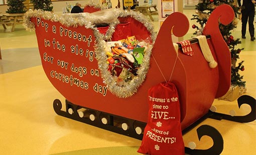 A picture of a Santa's Sleigh from the Dogs Trust contact centre