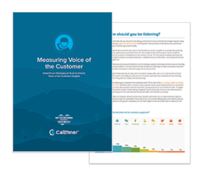 Call miner White Paper on measuring the voice of the customer