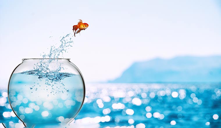 A picture of a fish jumping out of a bowl