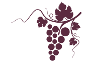 A picture of a grapevine