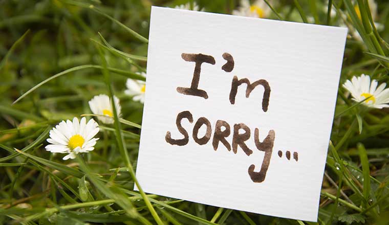 Inconveniences any sorry for Apology for