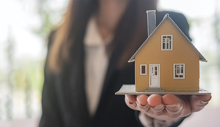 A picture of a person holiday a small model house