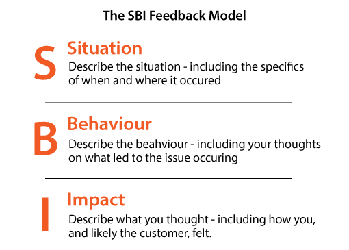 A picture of the SBI feedback model