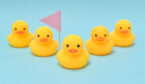 A picture of the team leadership concepts with ducks