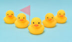 A picture of the team leadership concepts with ducks