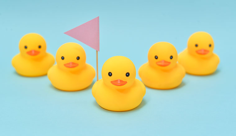 A picture of the team leadership concepts with ducks