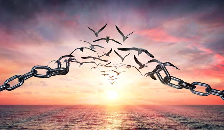 A picture of a chain transforming into birds flying away into a sunrise
