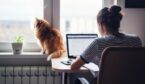 A person working at home on a task, the cat is sitting on the window