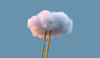 ladder to the white cloud