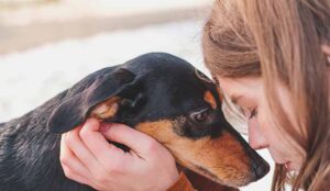 Dog and human sharing empathetic connection
