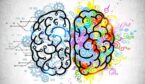 Illustration of a logical and emotional brain sides