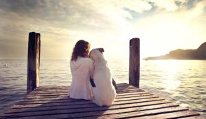 dog rests gently on his master's shoulder while looking the view