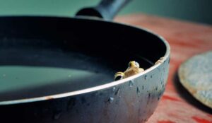 live frog in a saucepan