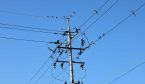Telephone pole with birds congregating on wires