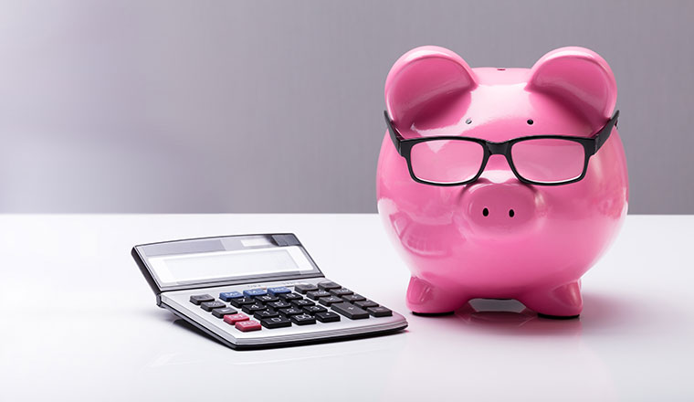 Piggybank With Eyeglasses And Calculator