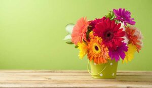 Colourful flowers on green background